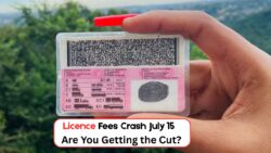 South Africans Get Major Relief on Licence Fees Starting July 15 – Here’s What’s Changing and Who It Affects
